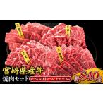 ふるさと納税 牛肉 焼肉・バーベキュー 宮崎県 えびの市 宮崎県産 黒牛 焼肉 赤身 牛肉 焼肉セット ロース 肩ロース モモ ミスジ 3点盛り 840g(280g × 3パッ…