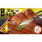 ふるさと納税 うなぎ 宮崎県 都城市 年内お届け 宮崎県育ちのうなぎ蒲焼4尾720g以上 山椒・たれ付 2025年12月15日〜31日お届け _AE-M301-HNY_(都城市) うなぎ…
