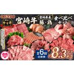 牛肉 セット 定期便全6回連続 宮崎牛と豚