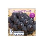 ニュー ピオーネ 3~4房 2kg以上
