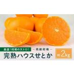 ふるさと納税 みかん・柑橘類 広島県 尾道市 柑橘の大トロ 完熟ハウスせとか 2kg 2026年2月中旬〜発送予定 フルーツ 人気 お取り寄せ 産地直送 もりの農園 ド…