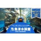 入場券 優待券 魚津水族館 入館年間パスポート引換券