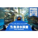 入場券 優待券 魚津水族館 入館チケット1枚引換券