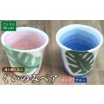 陶磁器 漆器 ガラス 透土練り込み ぐいのみペア