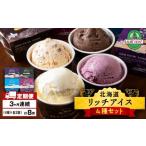 リッチアイスクリーム 8個セット 100ml
