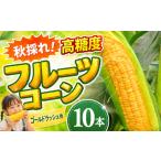 とうもろこし 2026年11月~ 秋採れ