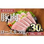 豚肉 ロース カツ セット 計30枚