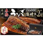 ふるさと納税 うなぎ 宮崎県 都城市 年内お届け 職人手焼きの本格うなぎ蒲焼き2尾 2025年12月15日〜31日お届け _MJ-3305-HNY_(都城市) 国産 本格 うなぎ 鰻 …