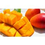 ショッピングふるさと納税 マンゴー ふるさと納税 マンゴー 鹿児島県 錦江町 No.3042-5 訳あり完熟マンゴー（Lサイズ以上：5個〜７個）