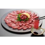 ふるさと納税 馬肉 熊本県 あさぎり町 桜屋 上赤身馬刺し 500g (専用醤油付き 150ml×1本) 馬刺し 馬刺 馬肉 馬 上赤身 赤身 冷凍