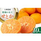 果物類 みかん 先行受付 2027年2月初旬~発送