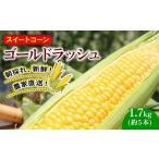 とうもろこし 訳あり スイートコーン ゴールドラッシュ 1.7…