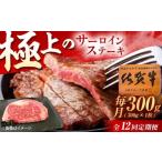 佐賀牛 サーロインステーキ 300g