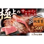 牛肉 サーロイン 3回定期便 佐賀牛 サーロインステーキ 500g