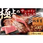 佐賀牛 サーロインステーキ 500g