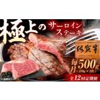 佐賀牛 サーロインステーキ 500g
