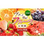 果物の詰合せ 定期便 4回 プチっと 堪能 フルーツ定期便