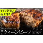 ショッピングふるさと納税 ハンバーグ ふるさと納税 牛肉 ハンバーグ 神奈川県 葉山町 葉山クィーンビーフハンバーグ 150g×4 | 神奈川・葉山発 牛肉 肉 国産 ハンバーグ はんばーぐ 葉山 HACCP認証…