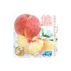 ふるさと納税 もも 山梨県 笛吹市 2026年発送 先行予約 桃 5kg 株式会社華栄牛産 179-006-26y 2026年発送