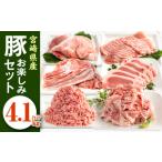 ふるさと納税 豚肉 セット 宮崎県 宮崎市 2025年9月発送 宮崎県産豚お楽しみセット 計4.1kg_M241-002-sep 2025年9月発送予定