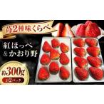 ふるさと納税 いちご 広島県 福山市 産地直送厳選「紅ほっぺ・かおり野」2パックセット(約300g)いちご イチゴ 苺 紅ほっぺ かおり野 ブランドイチゴ 人気 お…