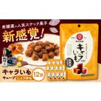 菓子 キャラいもキューブ しょうゆ 40g×12袋