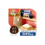 ふるさと納税 米 茨城県 ひたちなか市 先行予約・9月以降順次発送 令和7年 ひたちなか市産 ふくまる(精米)5kg×1袋 1639048