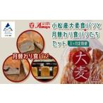 パン 食パン 3ヵ月定期便 小松産大麦食パンと月替わり食パ…