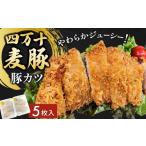 四万十麦豚 豚カツ 約100g×5枚