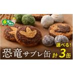 ふるさと納税 スナック・駄菓子 福井県 永平寺町 恐竜サブレ缶 (大) 2種類各1個 + (小) 4種類から選べる1個 計3缶 / 恐竜 サブレ お菓子 クッキー 米粉 お…