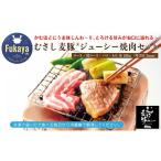 豚肉 焼肉 バーベキュー ジューシーな むさし麦豚