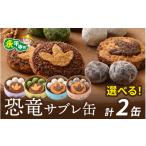 スナック 駄菓子 恐竜サブレ缶 小 クッキー缶2個