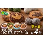 スナック 駄菓子 恐竜サブレ缶 小 クッキー缶4個