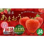 ショッピングふるさと納税 いちご ふるさと納税 いちご 福岡県 太宰府市 博多 あまおう 4パック（春） 2026年2月上旬〜4月下旬発送予定