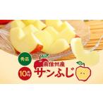 ふるさと納税 りんご 長野県 飯田市  2026先行予約 人気の品種 長野県産 りんご ( サンふじ ) 約10kg 2026年11月下旬〜12月中旬発送 | 果物 くだもの フルーツ…