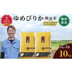 ふるさと納税 無洗米 北海道 旭川市  11月発送 令和7年産　ゆめぴりか 無洗米 真空パック 5kg×2袋 10kg_05241 11月発送