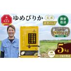 玄米 12回定期便 ふるさとチョイス 令和7年産
