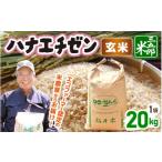 ふるさと納税 玄米 福井県 美浜町  先行予約 米 令和8年産 ハナエチゼン 20kg（玄米） 2026年9月中旬以降順次発送予定 大容量 お米 コメ ブランド米 はなえち…