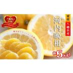 ふるさと納税 みかん�