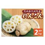 人参 大根 他根菜 れんこん2kg 絶品 蓮根