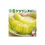 ふるさと納税 メロン メロン青肉 静岡県 磐田市 毎月定期便 クラウンメロン(白等級)1玉・5ヵ月毎月お届け全5回 4069565