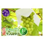 ふるさと納税 ぶどう マスカット 山梨県 甲州市 訳あり シャインマスカット 1.0kg以上 2房 2025年発送 (YKI)A06-990 シャインマスカット ぶどう ブドウ 葡萄…