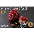 ぶどう 産地厳選 クイーンルージュ 秀品 約1kg〈2026年10月…