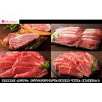 牛肉 ロース 令和8年熊本地震復興支援 高島屋選定品