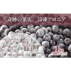 ふるさと納税 果物類 北海道 芦別市 冷凍アロニア 500g × 2パック 1kg 冷凍 アロニア 果物 くだもの フルーツ 旬の果物 旬のフルーツ 大橋さくらんぼ園 果物…