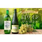 ワイン 白ワイン ミュラートゥルガウ ナイヤガラスパークリ…