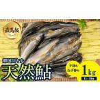 川魚 あゆ 28-1 最高級 那珂川の天然あゆ1kg