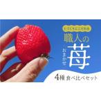 ふるさと納税 いちご 愛知県 田原市 先行予約 安心安全 職人が作るおまかせ苺 4種 食べ比べセット いちご 苺 おまかせ のため 訳あり 食べ比べ セット 安心 …