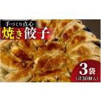 餃子 本格手作り 冷凍 餃子セット 10個入り