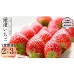 ふるさと納税 いちご 茨城県 桜川市 定期便 全3回 厳選いちご 2パック×3回 2026年3月〜5月お届け(茨城県共通返礼品/常陸太田市) 2026年3月発送開始 フル…